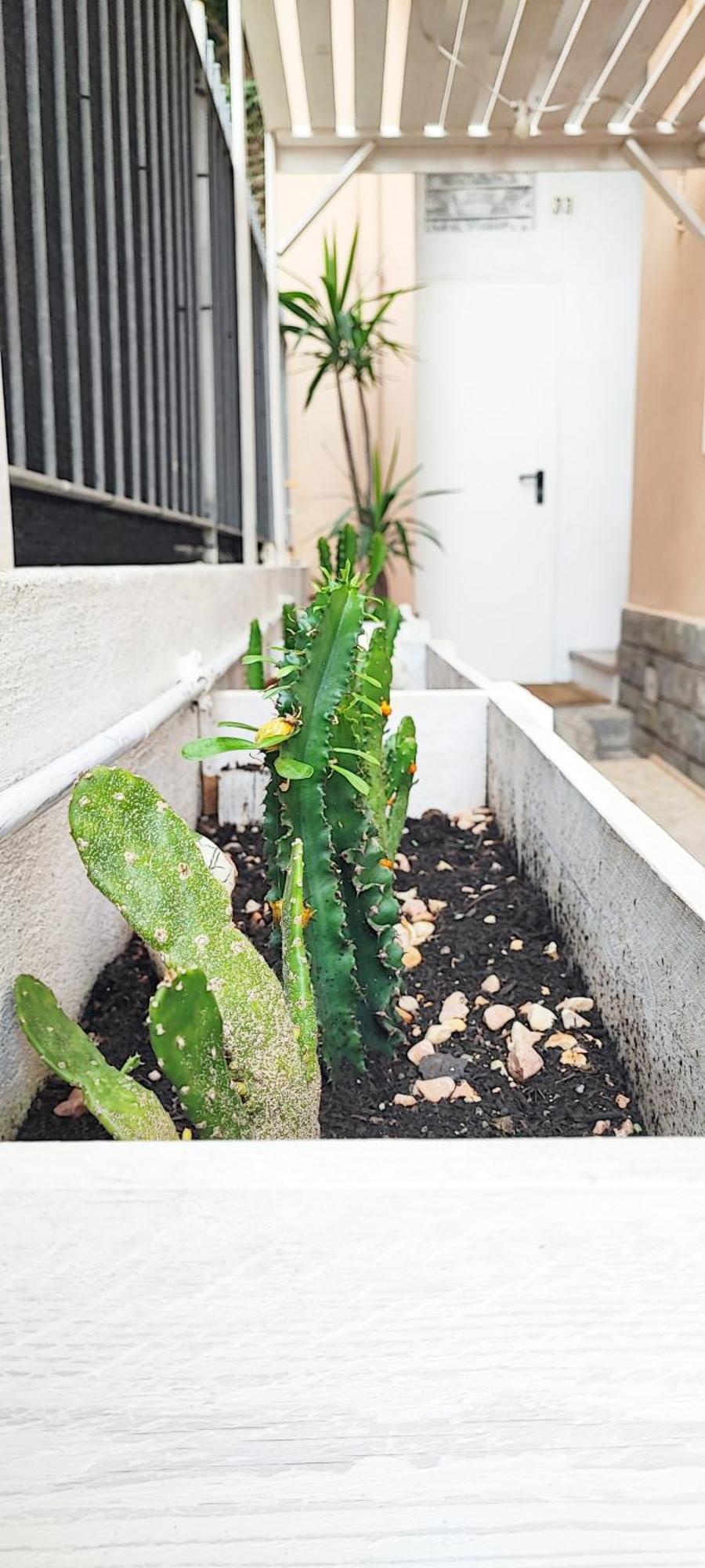 Apartament Residenza Bibliososta Ventimiglia Zewnętrze zdjęcie